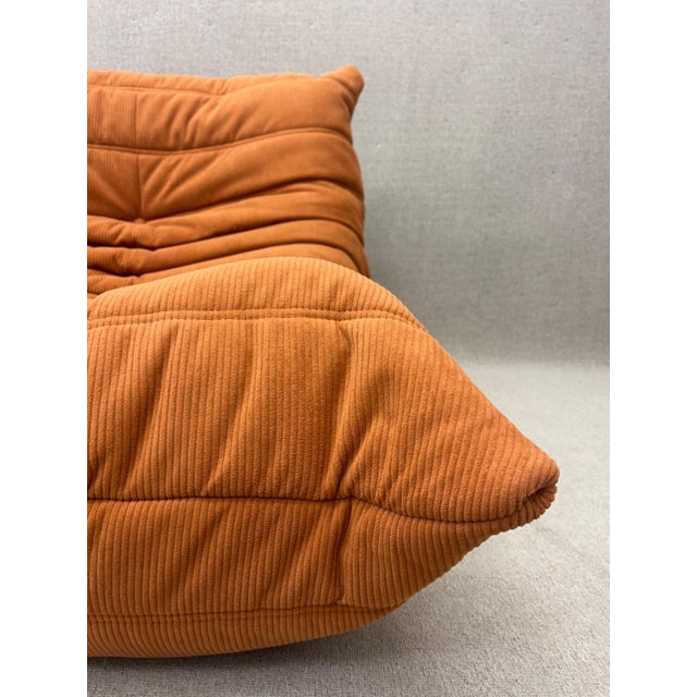 2000 - 2009 Togo Two-Seater Sofa by Michel Ducaroy for Ligne Roset, 2007 For Sale - Image 5 of 18