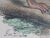 Illustration Antique Monkey Handcolored Lithograph, Large Size, Italy, 1868 #2 For Sale - Image 3 of 6