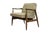Mid-Century Modern GFM 87 Armchair by Juliusz Kędziorek for GFM, Poland, 1960s For Sale - Image 16 of 16