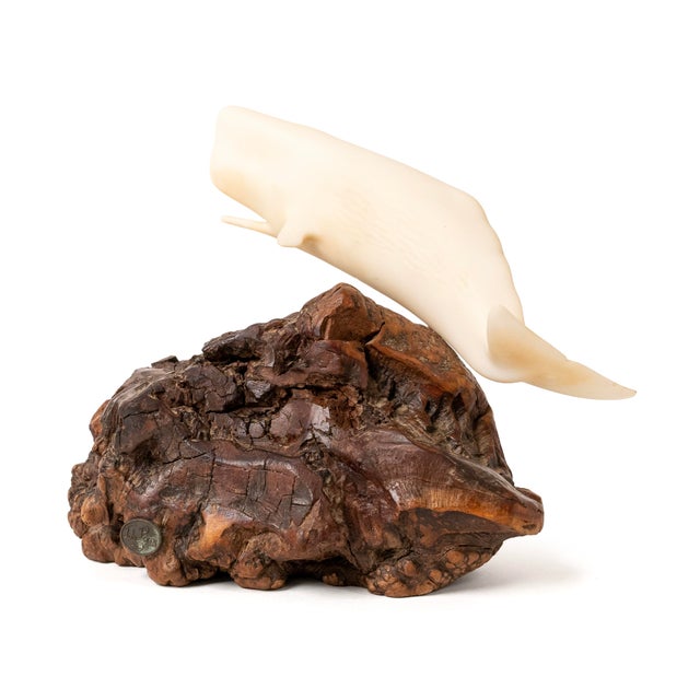 1980s John Perry Studios Large Sperm Whale Sculpture on Burlwood Base For Sale In New York - Image 6 of 7