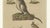 Brown Bertuch, Kangaroo, Wallaby & Hopping Mammals, 1795, Engraving For Sale - Image 8 of 10