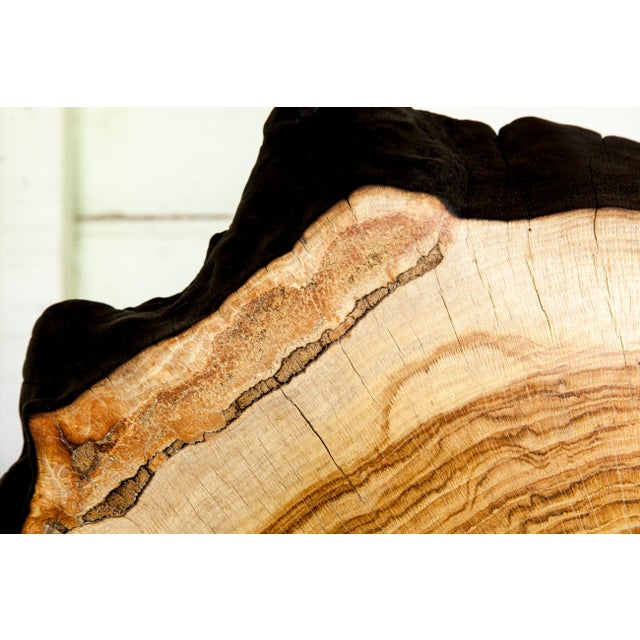Black Contemporary Indra Collection Yakisugi Modern Organic Wood Sculpture - Set of 2 For Sale - Image 8 of 10