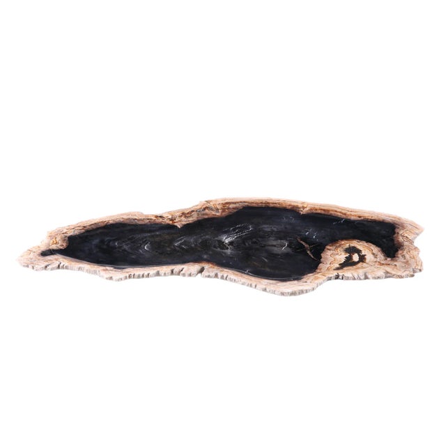 Black Hand Cut & Petrified Wood Board 3 For Sale - Image 8 of 8