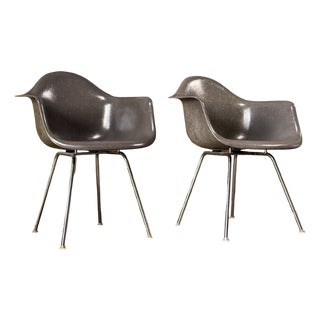 Fiberglass Armchairs Zenith C.G. Elephant Hide Grey by Charles and Ray Eames for Herman Miller, 1950s, Set of 2 For Sale