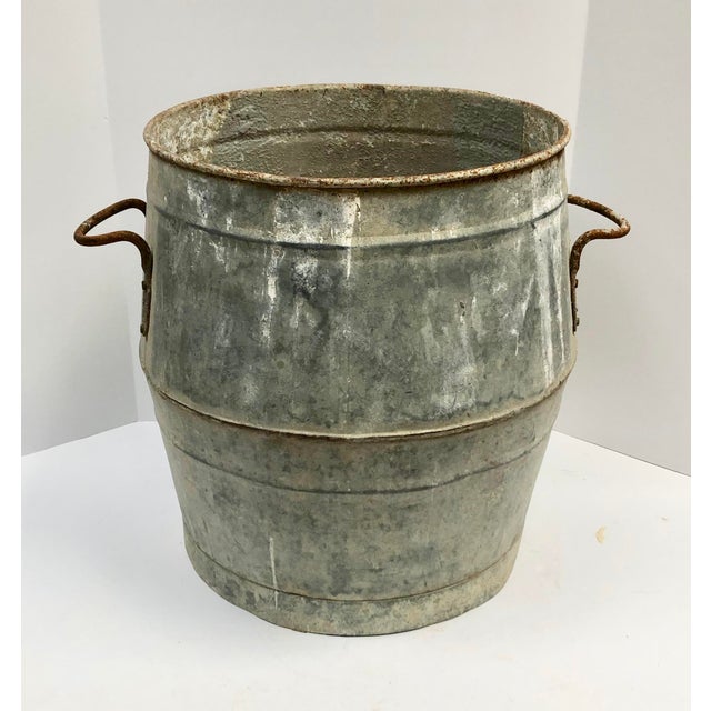 Vintage French Zinc Dolly Tub Planter Chairish