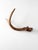 Vintage Natural Deer Antler For Sale - Image 10 of 13
