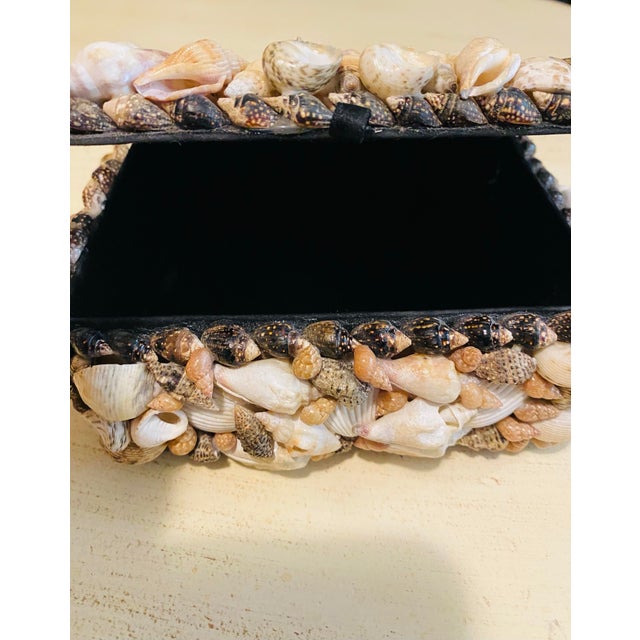 Shell 1970s Shell Encrusted Treasure Box For Sale - Image 7 of 10