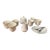 Vintage Royal Limited Golden Ivory Porcelain Coffee Set 8 Pieces Made in Japan Gold Trim For Sale