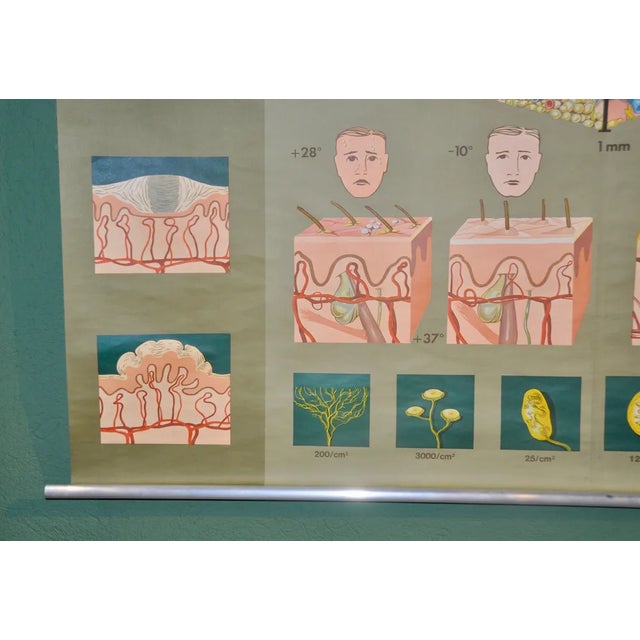 Metal German School Print in Leather Edition, 1981 For Sale - Image 7 of 9