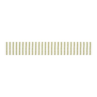 Sample - Schumacher Salton Tape in Leaf For Sale