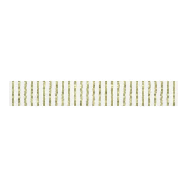 Sample - Schumacher Salton Tape in Leaf For Sale