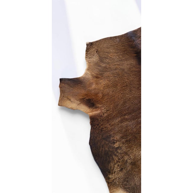 1970s Vintage Rug in Cowhide, 1970s For Sale - Image 5 of 9