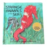 Sea Animal Pop Up Book For Sale