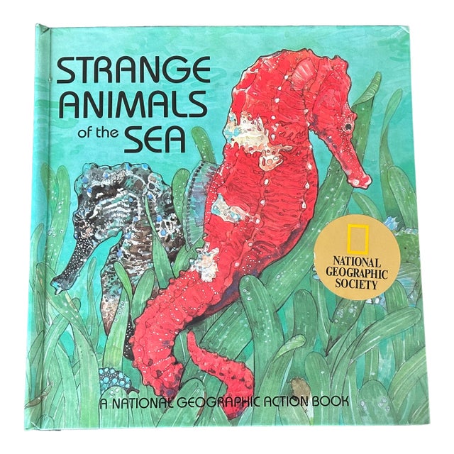 Sea Animal Pop Up Book For Sale