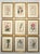 William Curtis Set of 9 Original 1842 Curtis Botanical Prints in Ornate Gold-Leaf Gesso Matting – Framed For Sale - Image 4 of 15