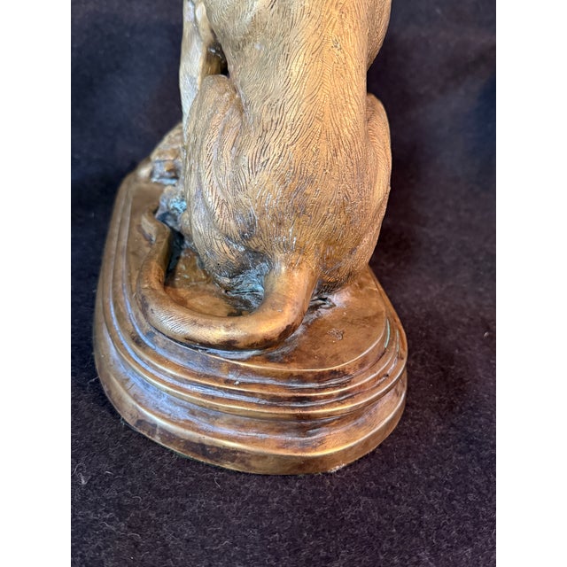 1900s Bronze of Chien À La Tortue, Dog With Tortoise, Depicting a Hound Observing a Turtle, Originally Designed by French Sculptor Alfred Jacquemart For Sale - Image 6 of 10