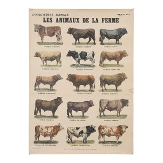 Old French Poster of Farm Animals Great for Country French Kitchen From Paris For Sale