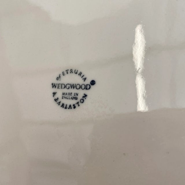 1970s Vintage Wedgwood of Etruria Nautilus Shell Dinner Plates- Set of 4 For Sale - Image 5 of 6