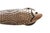 2020s Antiqued Brass Fish Handles, a Pair For Sale - Image 5 of 6