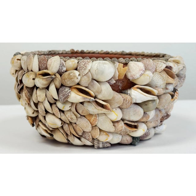 Terra Cotta Vintage Shell Encrusted Terra Cotta Pot For Sale - Image 8 of 10