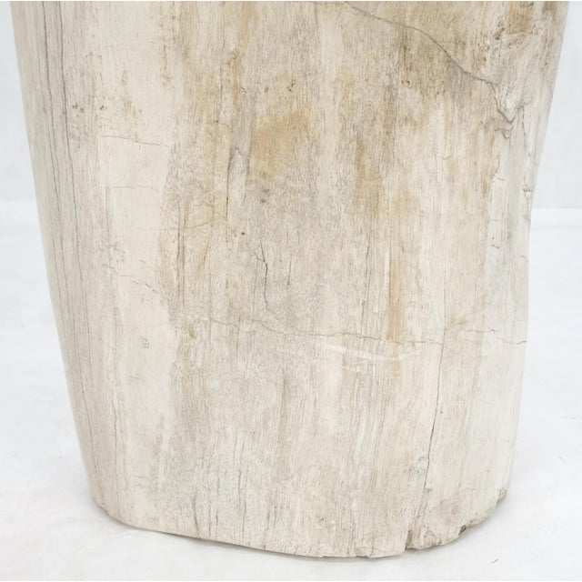 Large Beige Petrified Wood Organic Stomp Shape Stand End Side Table Pedestal For Sale - Image 6 of 9