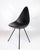 Early 21st Century Model 3110 The Drop Dining Chairs by Arne Jacobsen for Fritz Hansen, 2016, Set of 4 For Sale - Image 5 of 13
