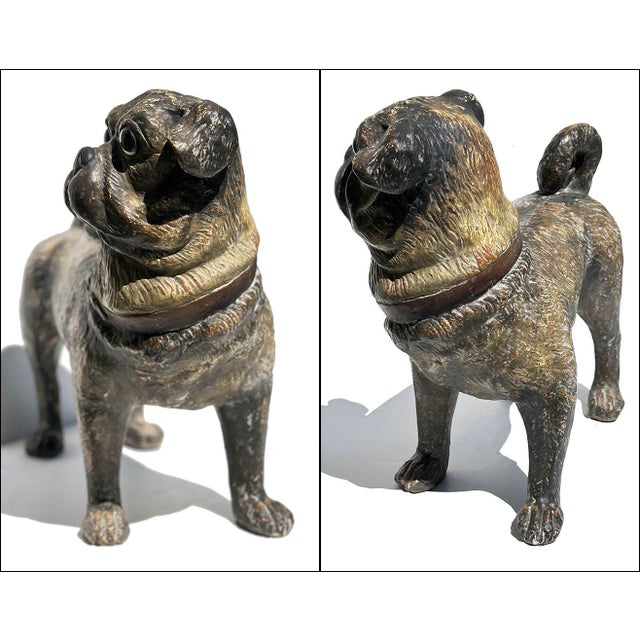 Austrian Standing Pug Dog Composition Lifesize Sculpture For Sale In New York - Image 6 of 7
