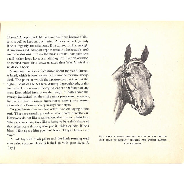 1940s "Thoroughbreds" 1942 Anderson, C. W. For Sale - Image 5 of 8