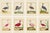 Shore Bird Grouping by Martinet Blue and Pink Giclee Reproductions For Sale