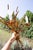 Italian Gilt Metal Wall Sconces with Leaves and Ears of Wheat, 1960s, Set of 2 For Sale - Image 4 of 7