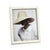 Palomar Etched White Bone Photo Frame, 8" x 10" For Sale - Image 4 of 4