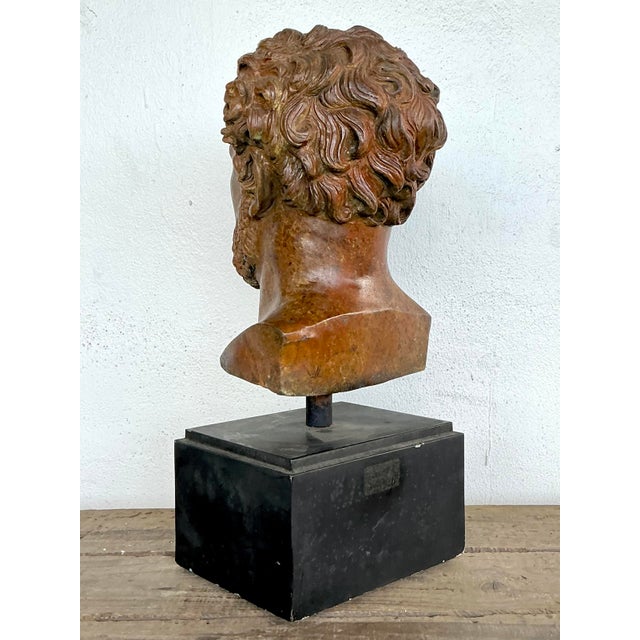 Vintage Patinated Bronze Bust of Alexander the Great For Sale - Image 4 of 12