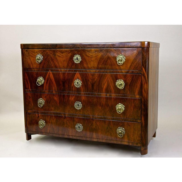 19th Century Biedermeier Chest of Drawers, Austria, 1830s For Sale - Image 17 of 18