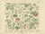 M. Fünfstück, Umbellifers & Medicinal Plants, 1890s, Chromolithograph, Set of 2 For Sale - Image 5 of 9