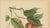 Paper Berthe Hoola van Nooten, Pride of Burma, 1880, Chromolithograph For Sale - Image 7 of 9
