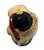 Brown Mid 20th Century Ceramic Hawaii Hula Girl Dancing Ukulele Player Bobble Doll For Sale - Image 8 of 10