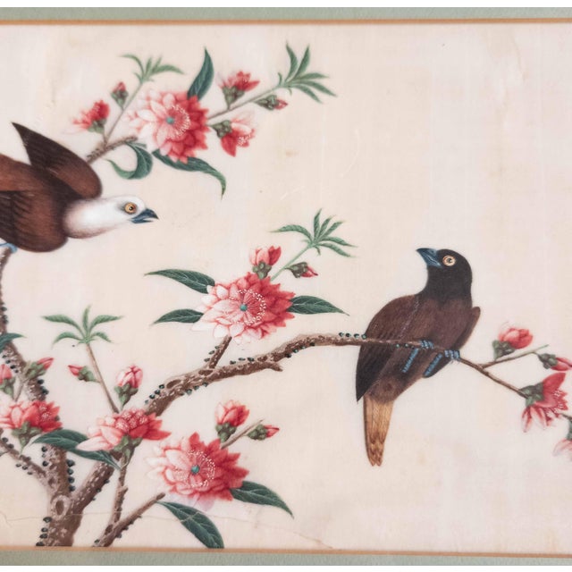 19th or 20th Century Chinese Watercolor Pith Paper Painting of Birds Arguing For Sale - Image 9 of 16