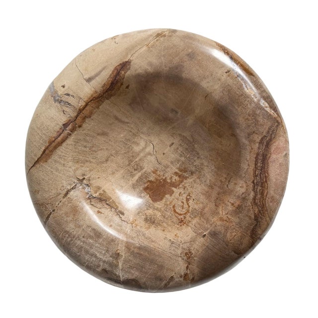 Natural petrified wood polished smooth shallow saucer bowl with beautiful grain patterns. Minimalist sloped design gives...