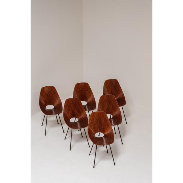 Medea Chairs by Vittorio Nobili, Italy, 1955, Set of 6 For Sale - Image 16 of 17
