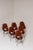 Medea Chairs by Vittorio Nobili, Italy, 1955, Set of 6 For Sale - Image 16 of 17