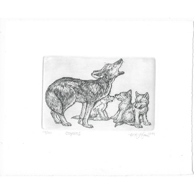 Etching by Colorado artist Marsha Howe, "Coyotes" pencil signed, dated 1989 and numbered 59 of 300. Sheet size: 8 x 9.75...