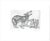 Etching by Colorado artist Marsha Howe, "Coyotes" pencil signed, dated 1989 and numbered 59 of 300. Sheet size: 8 x 9.75...