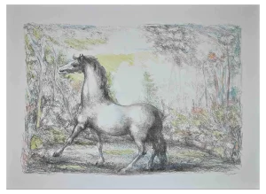Domenico Purificato, Horse, Original Lithograph, 1970s