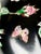 Black Chinese Export Famille Noire Hand-Painted Floral Vase For Sale - Image 8 of 11