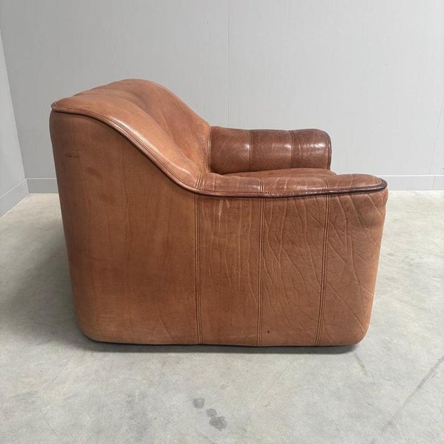 Textile DS44 Lounge Chair from de Sede, 1970s For Sale - Image 7 of 12