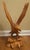 Hand-Carved Single-Piece Figure of an Eagle on Wood Plinth, Circa 1950s For Sale In Washington DC - Image 6 of 14