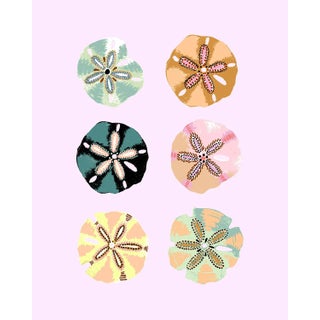 "Sand Dollar (Shell Pink)" Contemporary Giclee Print by Sarah Gordon For Sale