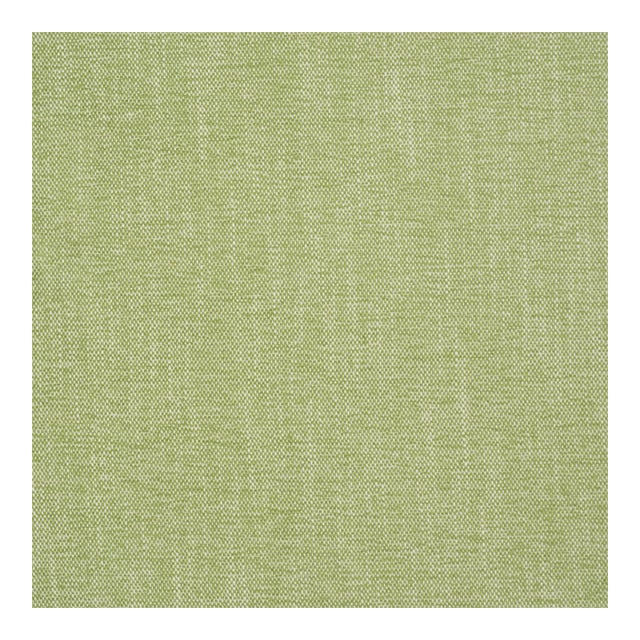 Schumacher Dean Indoor/Outdoor Fabric in Grass For Sale