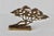 Bijan Style Brass Bonsai Tree Tabletop Sculpture Vintage Mid-Century For Sale - Image 17 of 17
