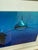 Brian Skerry Sharks on Assignment Great White Photograph, Framed For Sale In San Francisco - Image 6 of 12